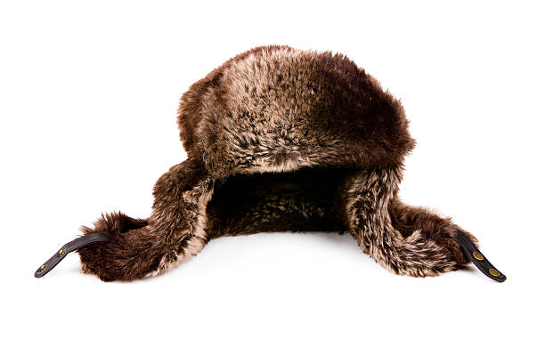 Leather Hat with Fur XXXL stock photo