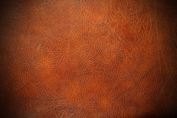 Leather stock photo