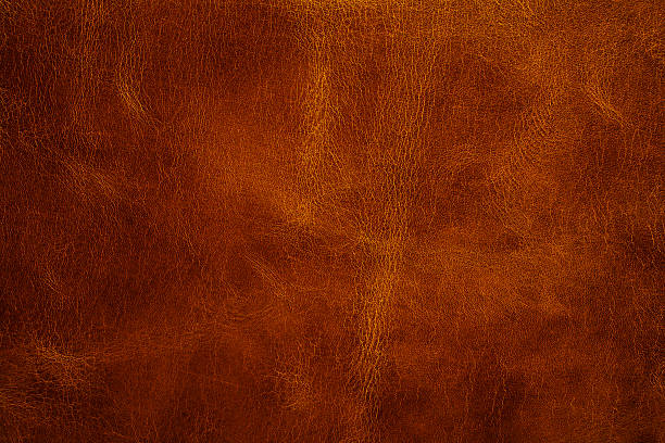 leather texture closeup stock photo