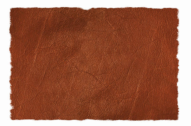 Leather Texture/Background stock photo