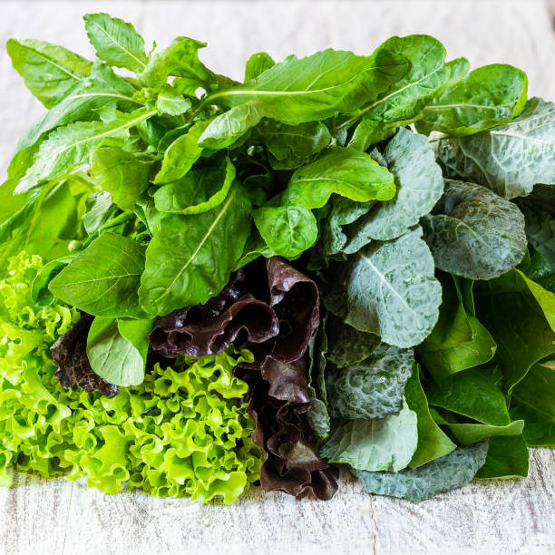 Leaves of green and red lettuce, rucola, kale, amaranth, spinach on white table close-up stock photo