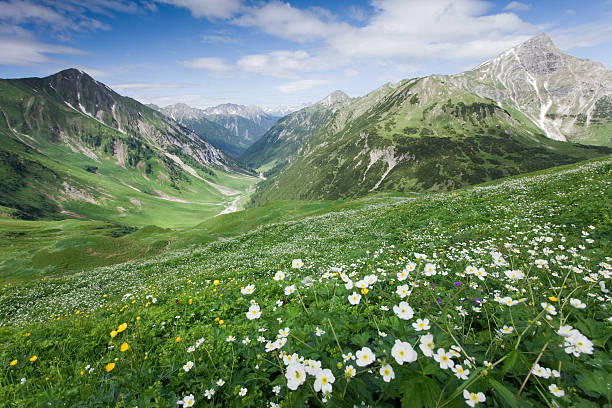 lechtal panorama  lechtal alps stock pictures, royalty-free photos & images