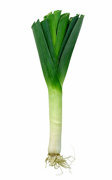 leek-picture-id172164051