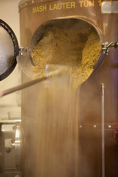 Leftover barley being drained from mashing tun. stock photo