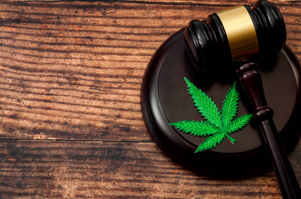 Legal weed, decriminalized pot or felony conviction for possession of a schedule one drug concept theme with a marijuana leaf and a wooden gavel isolated on wood background with copyspace stock photo