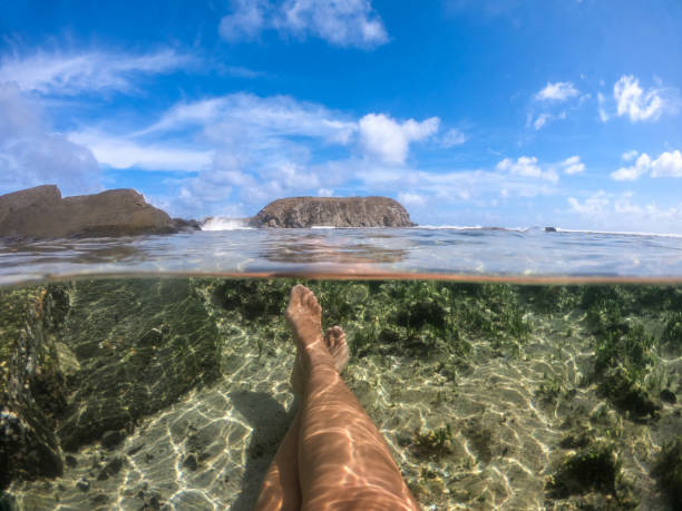 gambe di una donna che si rilassa in acque limpide a fernando de noronha, brasile - leao foto e immagini stock