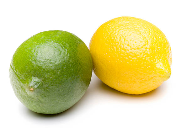 Lemon and Lime stock photo