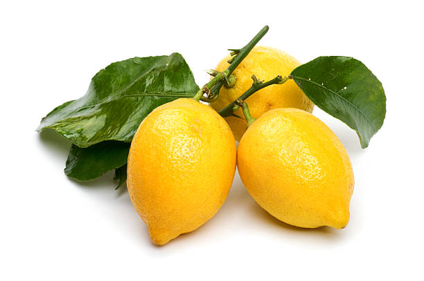 lemon on white close up stock photo