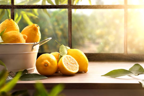 Lemons basket on kitchen with window and orchard outside stock photo