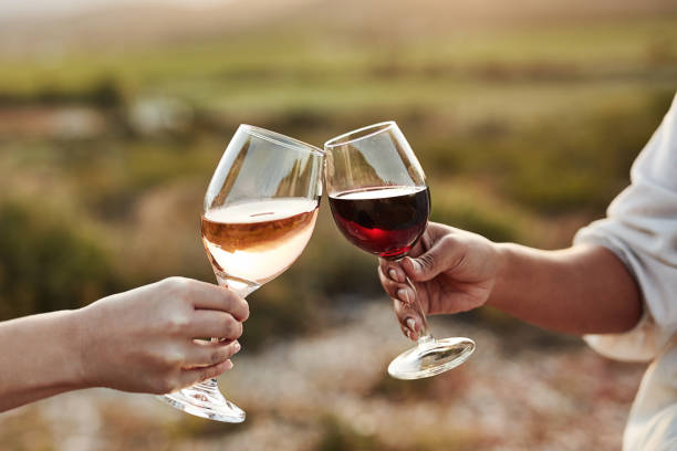 Let's celebrate life Cropped shot of two women sharing a toast while spending time outdoors wine stock pictures, royalty-free photos & images