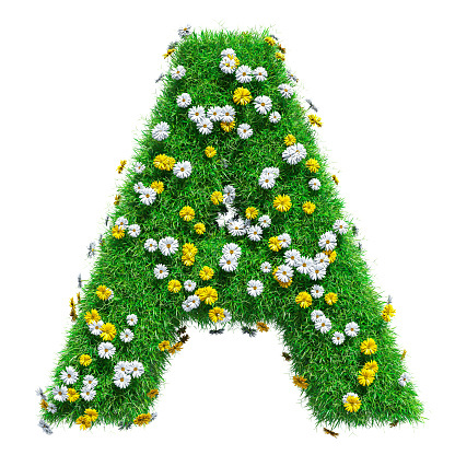 Letter A Of Green Grass And Flowers Stock Photo - Download Image Now ...