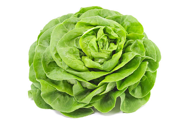 Lettuce Salad Isolated On White lettuce stock pictures, royalty-free photos & images