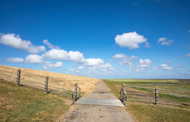 Levee with cattle grid along the coast of the island Schiermonnikoog Dike with cattle grid along the coast of the island Schiermonnikoog on the wadden sea side in the netherlands cattle grid stock pictures, royalty-free photos & images