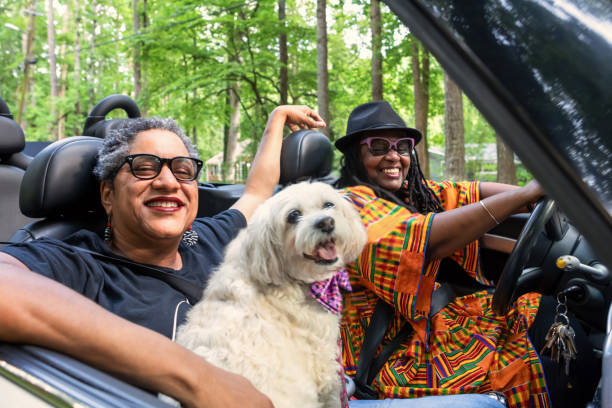 lgbt family driving in their convertible stock photo