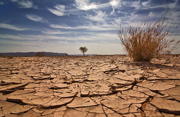 libya - drought stok fotoğraflar ve resimler