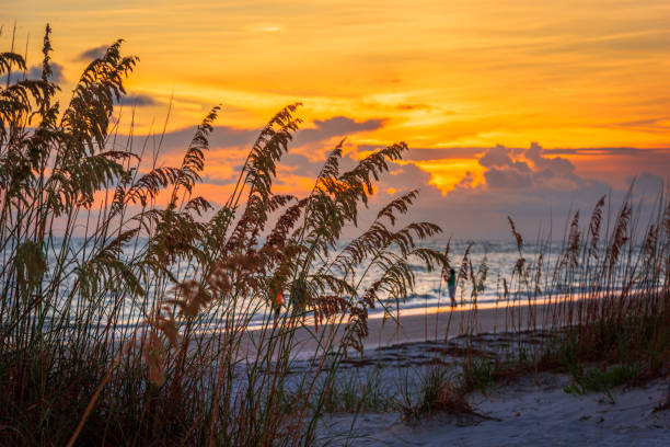 Lido Key Beach, Sarasota, Florida, USA stock photo
