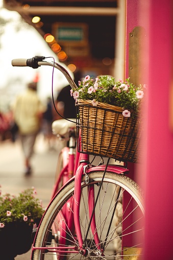 A retro bicycle with pink flowers in a basket outside of a shop in Banff, AB