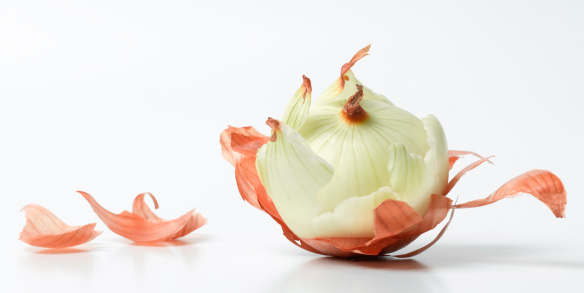 A peeled onion with a isolated white background with slight drop shadow.