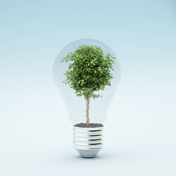 Light bulb with plant Light bulb with plant on blue background sustainable energy photos stock pictures, royalty-free photos & images