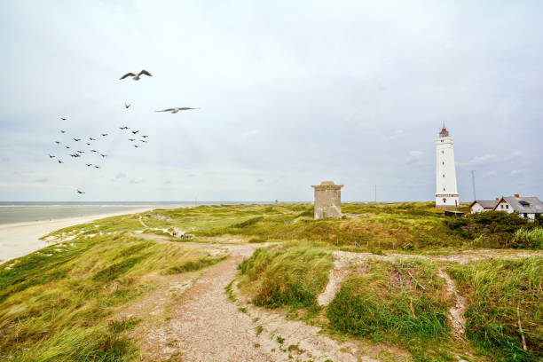 Lighthouse and bunker in the sand dunes on the beach of Blavand, Jutland Denmark Europe Lighthouse and bunker in the sand dunes on the beach of Blavand, Jutland Denmark Europe jutland stock pictures, royalty-free photos & images