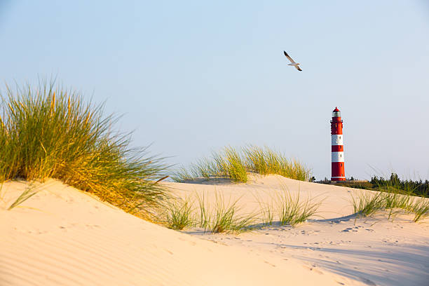 Lighthouse on a dune stock photo