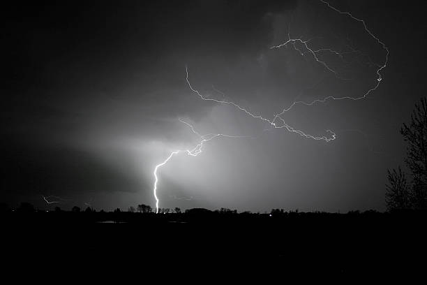Lightning Strike With Tree line Silhouette (Black and White) stock photo