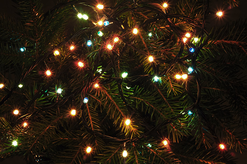 Lights garland on Christmas fir tree in night. Christmas holidays background