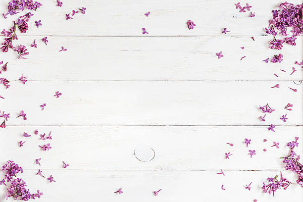 Photo of lilac flowers on white wooden background, top view, flat lay