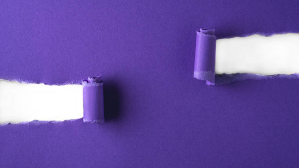 Lilac paper is torn over white background for message. Template for your text. stock photo