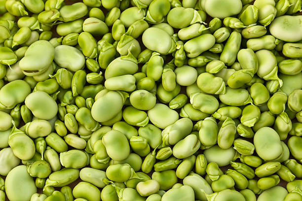 Lima beans background Nutritious healthy food lima beans. broad bean stock pictures, royalty-free photos & images