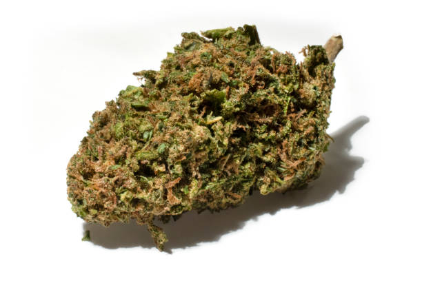 limegerian blossom cannabis, indica dominante hybride bud - marihuana gedroogde cannabis stockfoto's en -beelden