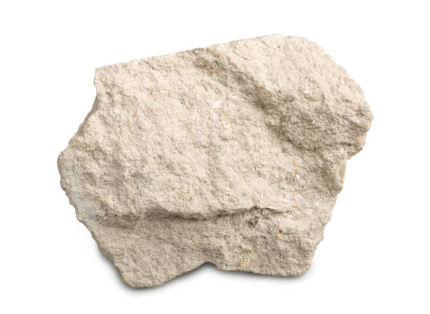 kalksteen geïsoleerd op witte achtergrond. kalksteen is een sedimentair gesteente bestaande uit skeletfragmenten van mariene organismen. - kalksteen stockfoto's en -beelden