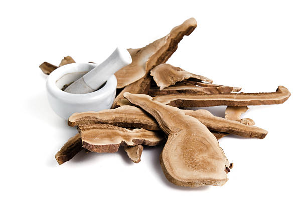 Lingzhi mushroom, Chinese traditional medicine, Ganoderma Lucidu Dried lingzhi mushroom (Also called as Reishi mushroom in Japan, Lingcheu in Thailand, Lingzhi mushroom in China, Ganoderma Lucidum Karst or lacquered mushroom) with mortar and pestle lingzhi stock pictures, royalty-free photos & images