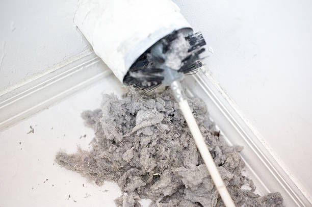 Lint being removed with a brush from a dryer vent Dryer vent in a home being cleaned out with a round brush. There is a large pile of lint that has been removed from the vent on a white tiled floor. The walls and baseboards are white. The lint is gray. Taken with a Canon 5D Mark 3 camera.  rm dryer stock pictures, royalty-free photos & images