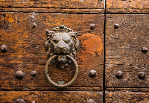 Iron lion on wooden door