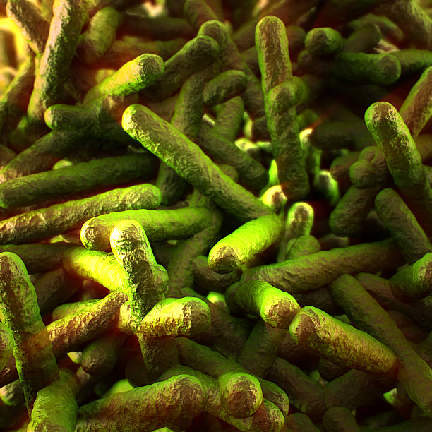 Listeria Listeria listeria stock pictures, royalty-free photos & images