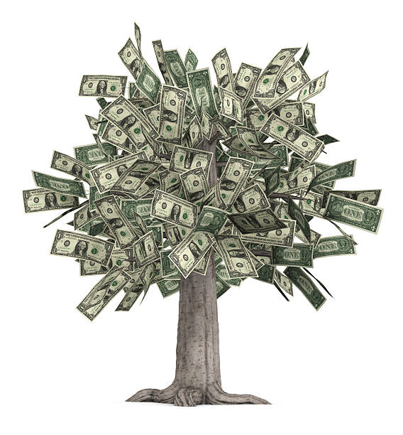 Literal money tree with dollar bills for leaves stock photo