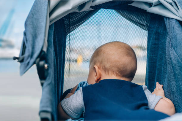 Little baby boy in pram looking outside through the net window at the marina bay stock photo