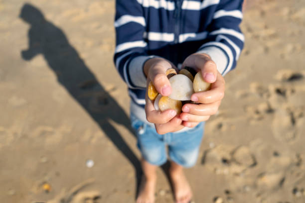Little Boy collects colorful pebbles on the beach, hands close up stock photo
