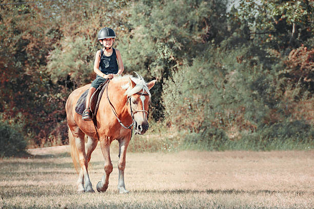 Little boy on the horse. stock photo