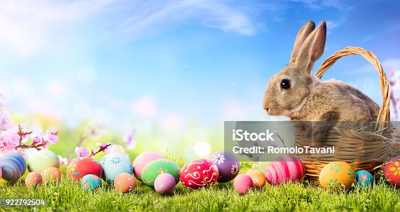 istock Little Bunny In Basket With Decorated Eggs - Easter Card 922792504
