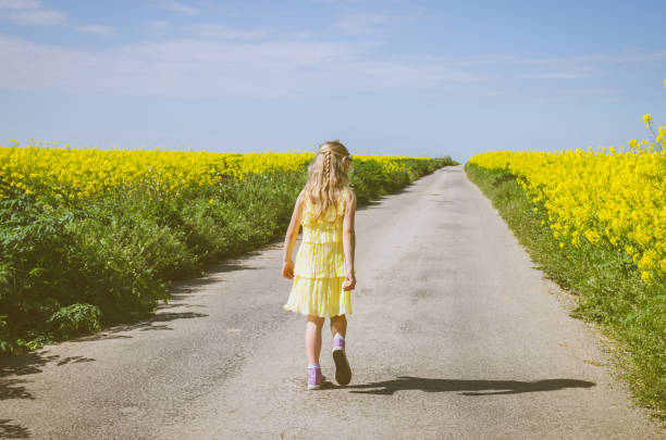 little child walking in rural path in beautiful summer nature stock photo