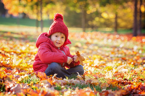 Little excited boy playing with leaves in the park, autumn time