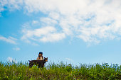 小さな女の子と草原で遊ぶドーベルマン