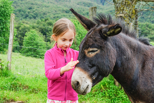Little Girl And Her Donkey On The Mountain Pasture