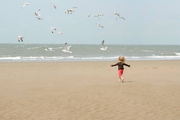 little girl at the beach chasing birds stock photo