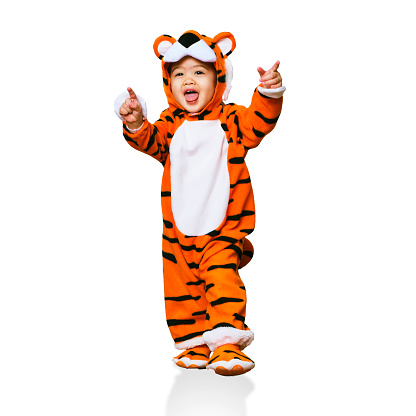 A toddler girl wearing a tiger costume