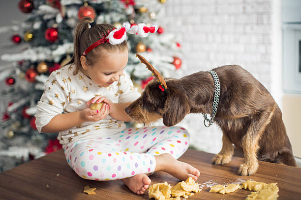 Little girl in kitchen for christmas with her dog. Cute girl in kitchen at christmas with her dog. Playing with dough, making cookies or muffins. Dog is sitting on table top together with little girl. Kitchen is decorated with christmas ornaments and three. happy new year dog stock pictures, royalty-free photos & images