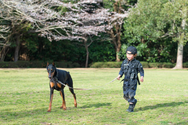警察衣装とドーベルマンの相棒の少女 - 動物飼育管理　日本 ストックフォトと画像