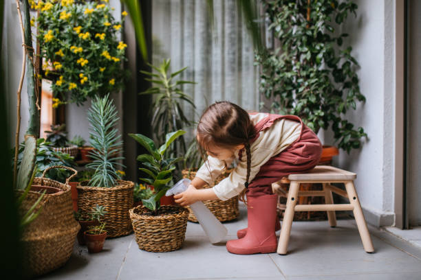 Little girl watering houseplants stock photo